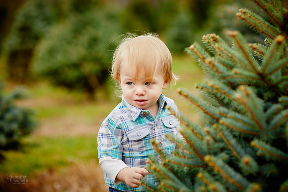 Christmas Mini Sessions at Sugar Pines Farm in Chesterland, Ohio