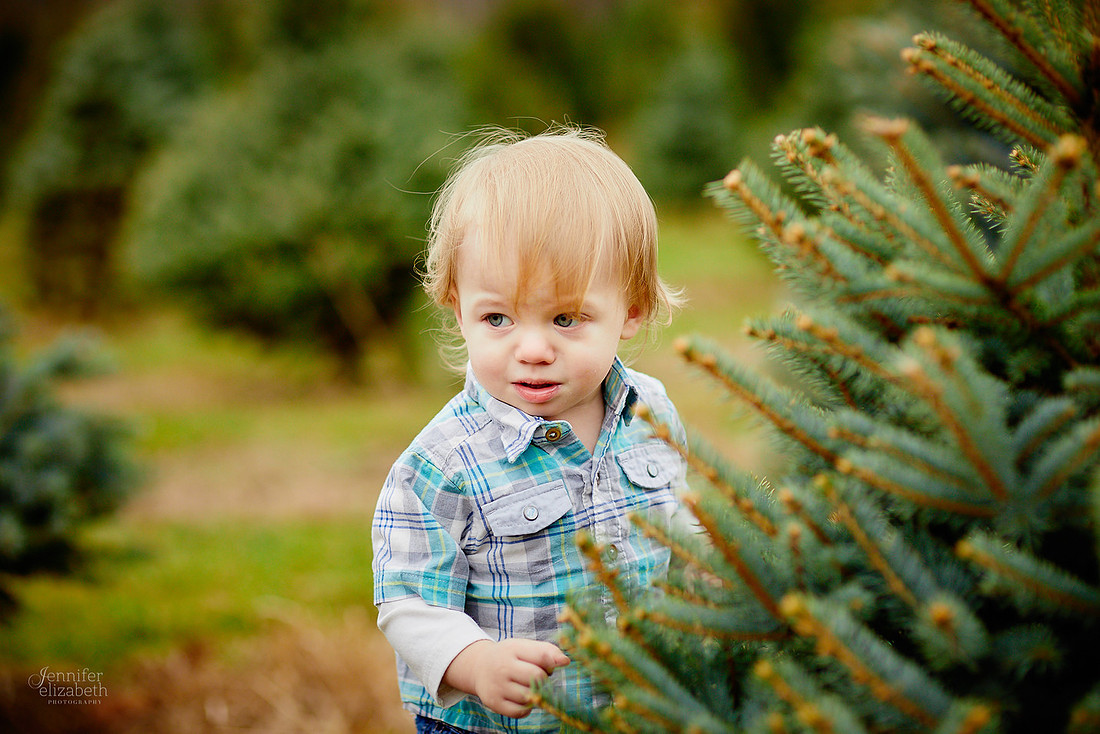 Christmas Mini Sessions at Sugar Pines Farm in Chesterland, Ohio