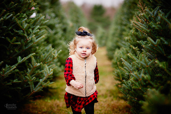 Christmas Mini Sessions at Sugar Pines Farm in Chesterland, Ohio