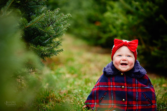 Christmas Mini Sessions at Sugar Pines Farm in Chesterland, Ohio