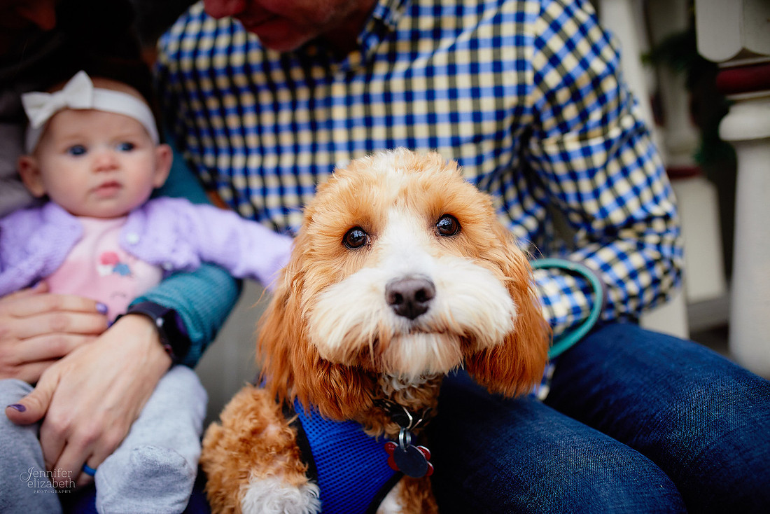 The S Family: Portrait Session in Columbus, Ohio