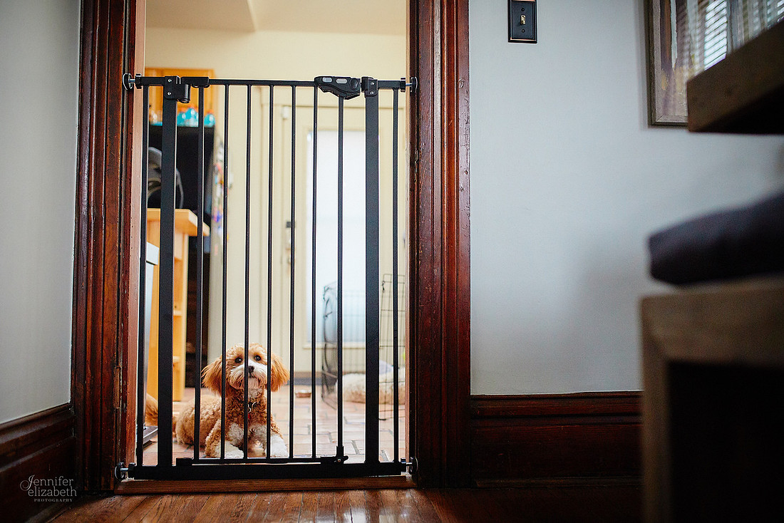 The S Family: Portrait Session in Columbus, Ohio