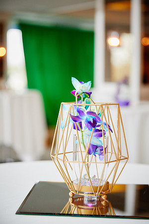 Maya: Bat Mitzvah at Temple Israel and Creekside Event Center in Gahanna