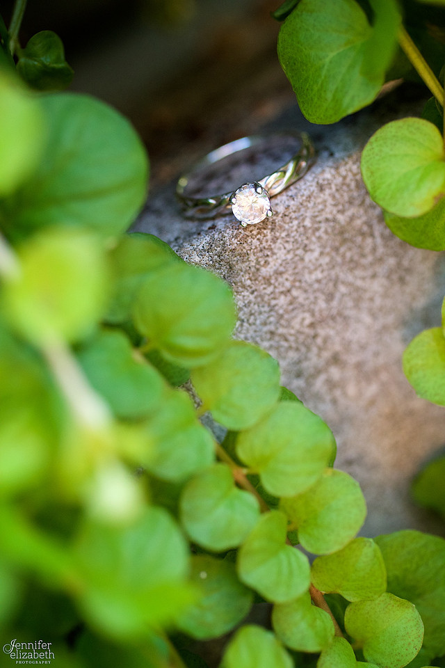 Melissa and Charles: Inniswood Gardens Engagement Session