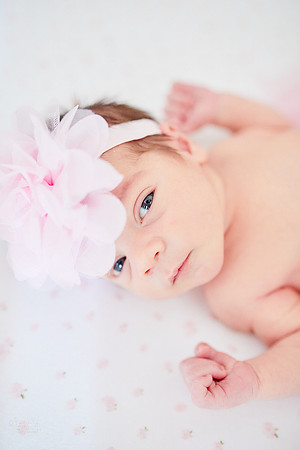 Baby Kollyns: Lifestyle At Home Newborn Session in Parma