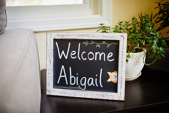 Baby Abigail: Newborn Family Portrait Session in Solon