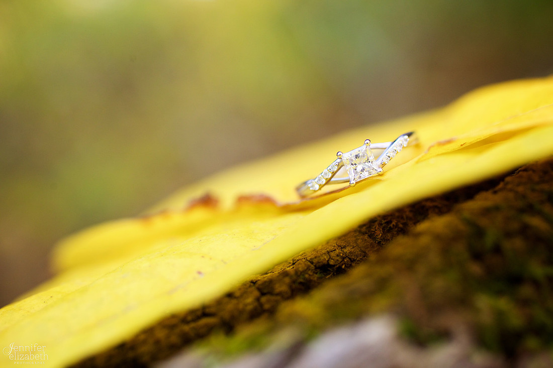 Kim & Aj: Same Sex Engagement Session in Westerville, Ohio