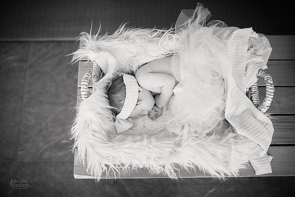 Baby Kaylee: Newborn and Family Portrait Session at The Cleveland Museum of Art and Wade Lagoon