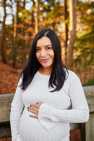 Kate: Maternity and Family Session at Brandywine Falls