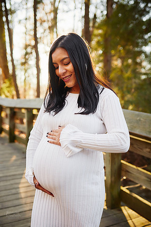 Kate: Maternity and Family Session at Brandywine Falls