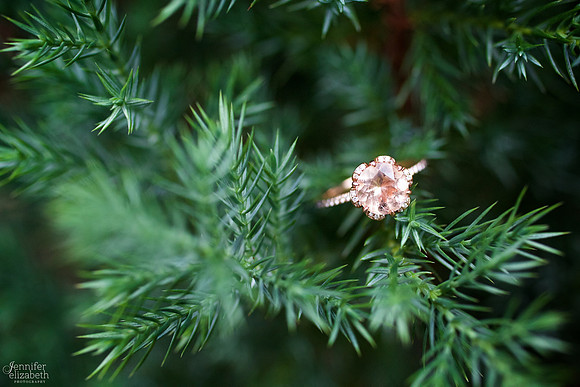 Courtney and Ryan: Squire's Castle Engagement Session