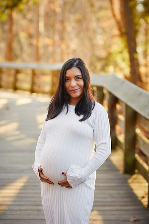 Kate: Maternity and Family Session at Brandywine Falls