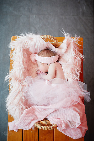 Baby Kaylee: Newborn and Family Portrait Session at The Cleveland Museum of Art and Wade Lagoon