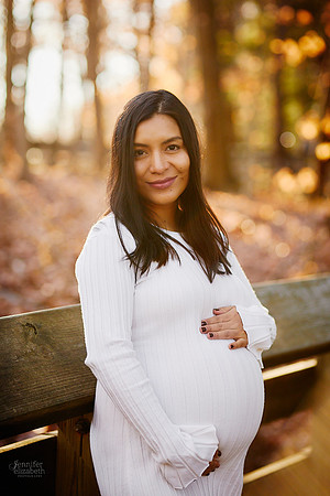 Kate: Maternity and Family Session at Brandywine Falls