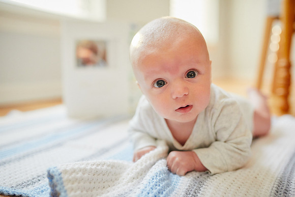 The M Family: Portrait Session in Tremont