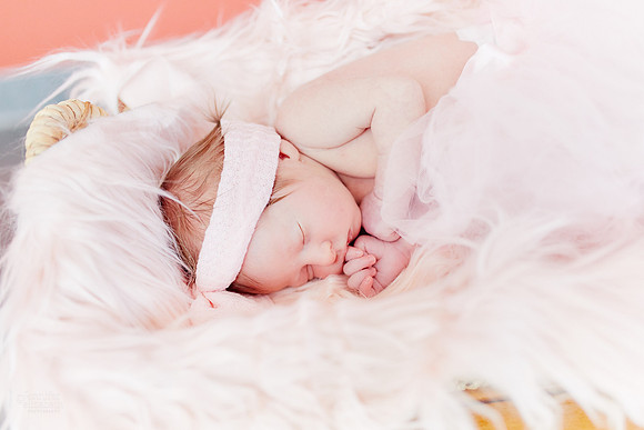 Baby Kaylee: Newborn and Family Portrait Session at The Cleveland Museum of Art and Wade Lagoon