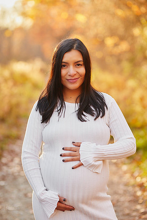 Kate: Maternity and Family Session at Brandywine Falls