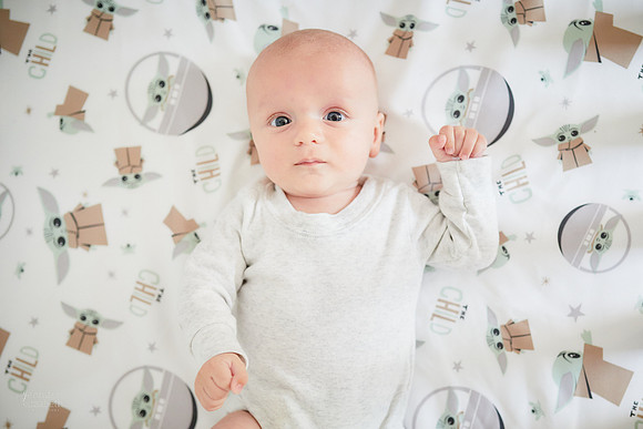 The M Family: Portrait Session in Tremont