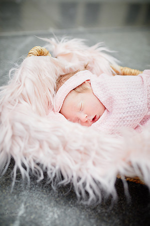 Baby Kaylee: Newborn and Family Portrait Session at The Cleveland Museum of Art and Wade Lagoon