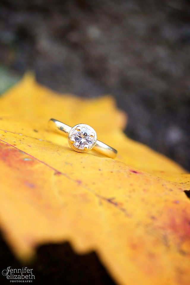 Tess and Adam's Engagement Portrait Session in Olmsted Falls, Cleveland